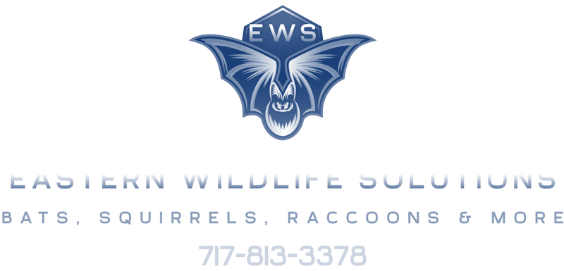Eastern Wildlife Solutions