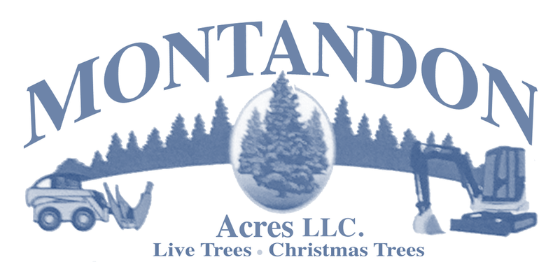 Montandon Services
