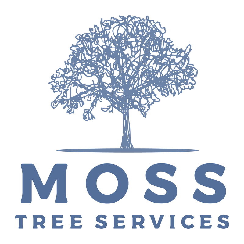Moss Tree Services