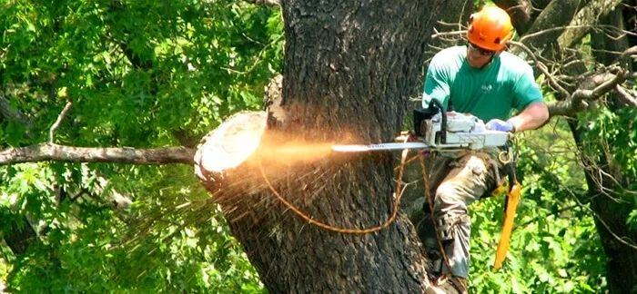 C2 Crane and Tree Service