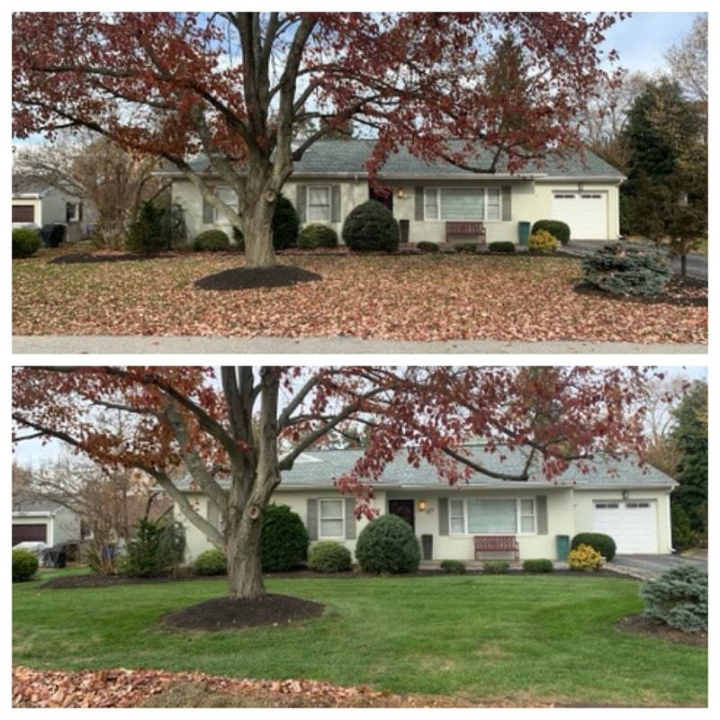 CK Lawn And Landscapes
