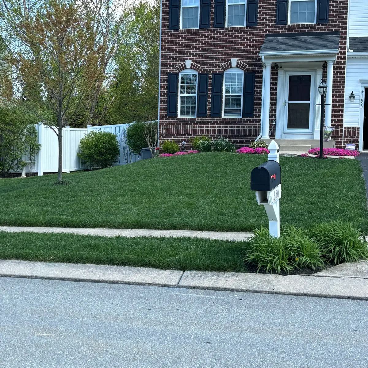 Go Green Customized Lawn Care
