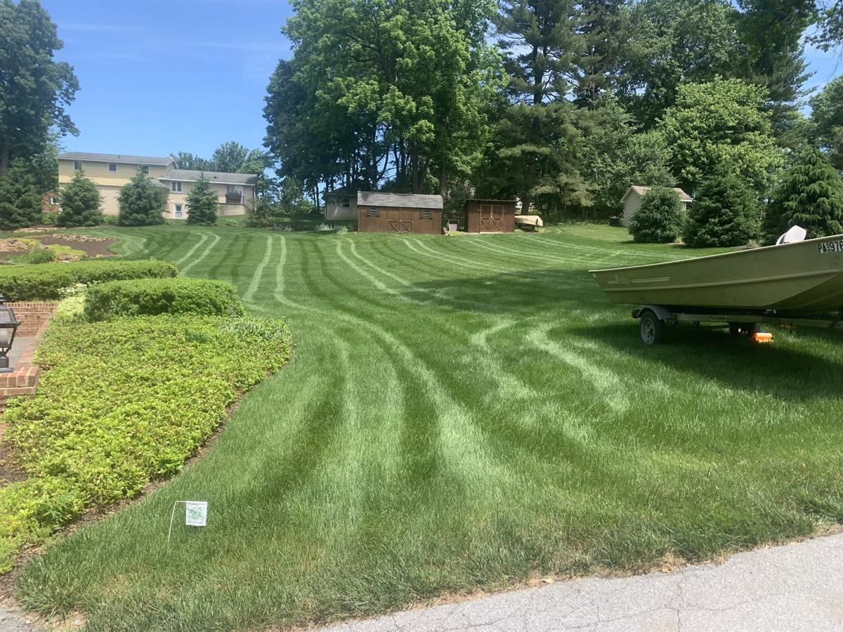 Lawns Plants & Pests LLC