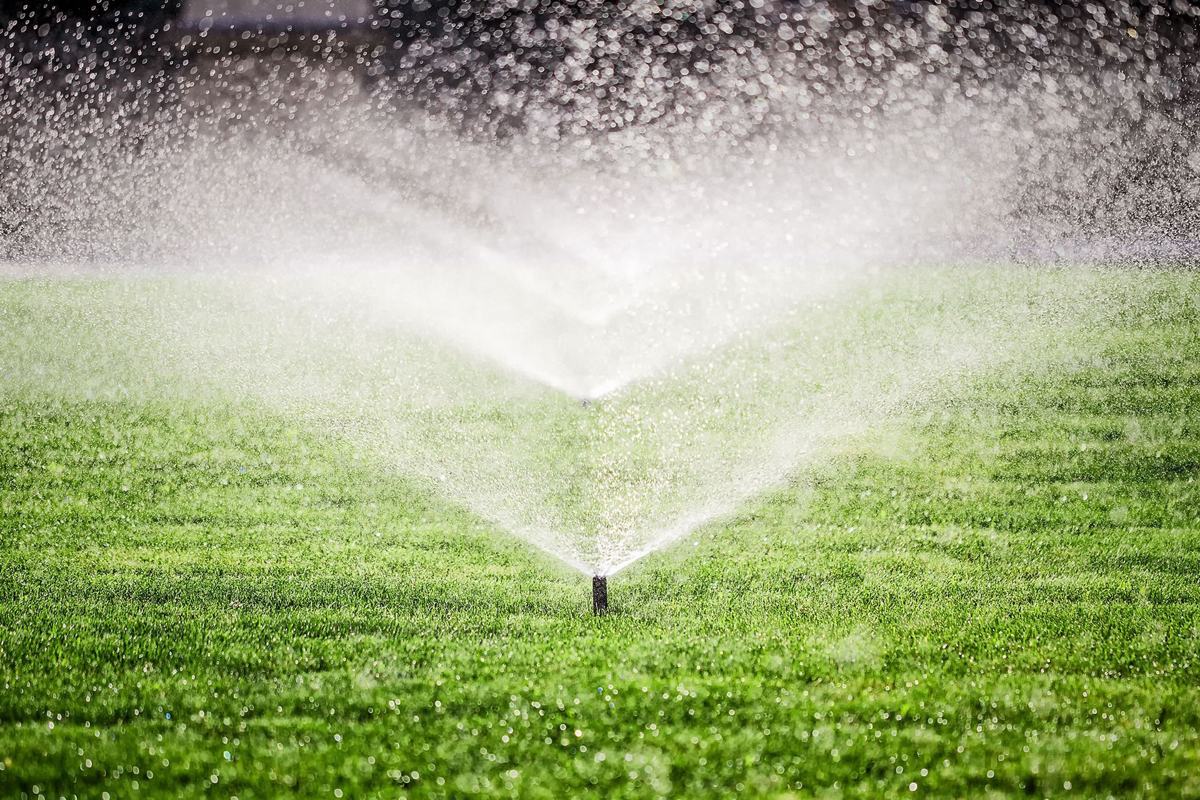 Michael's Irrigation