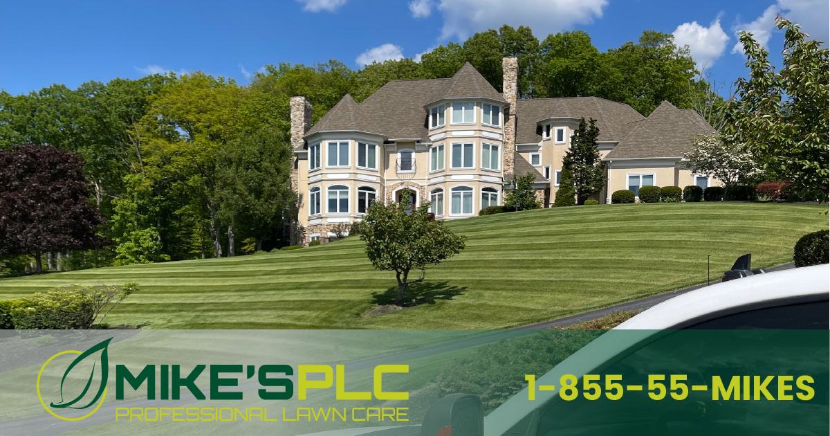 Mike's Professional Lawn Care