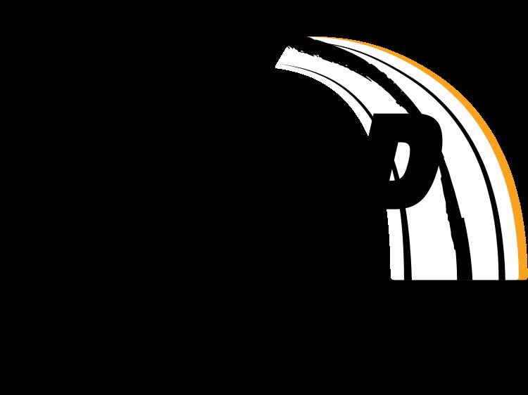 MSP Trucking and Paving LLC