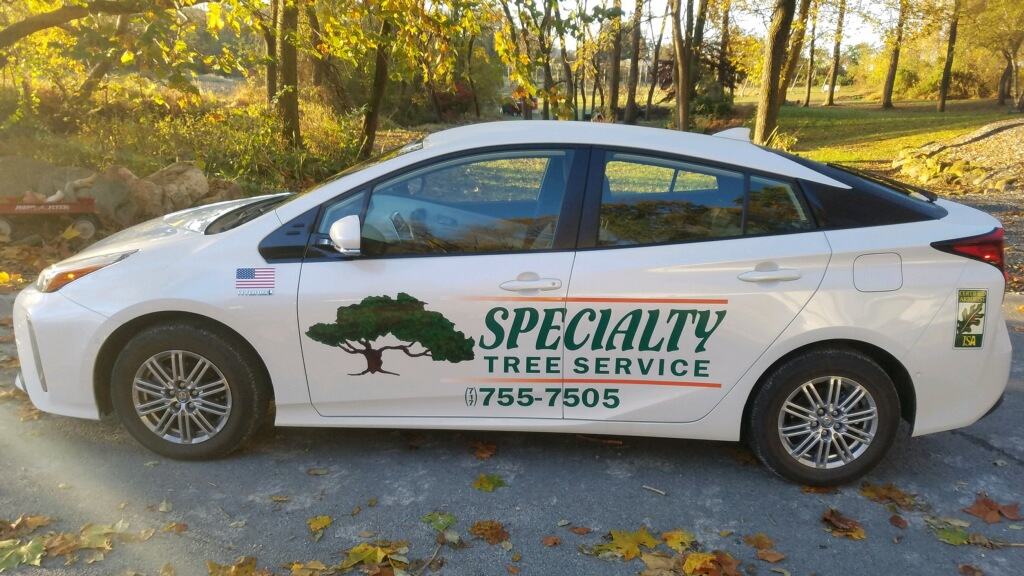 Specialty Tree Service