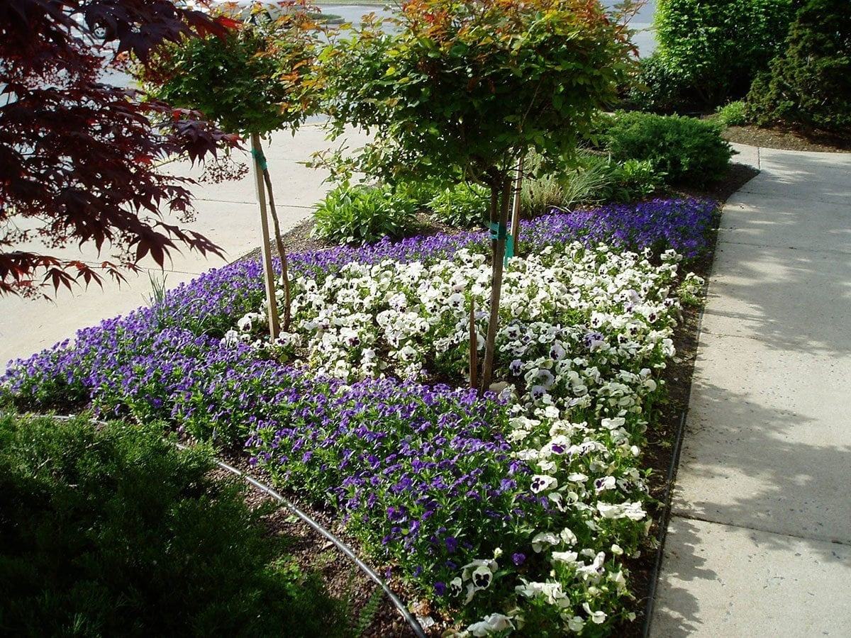 Tomlinson Bomberger Lawn Care & Landscape