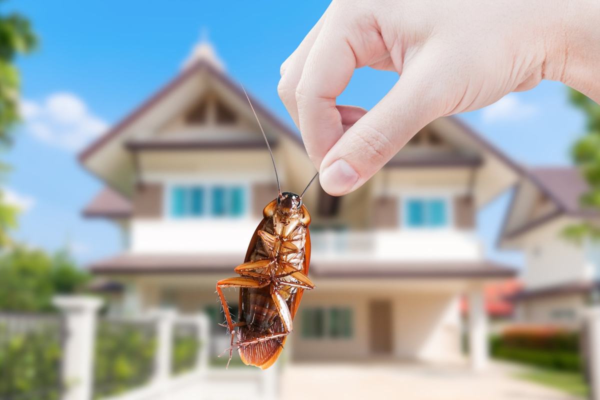 Tomlinson Bomberger Pest Control